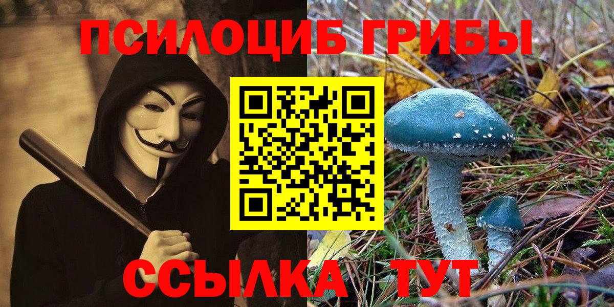 Псилоцибиновые грибы прущие грибы  Вход с VPN  Соликамск  Псилоцибиновые грибы Cubensis 